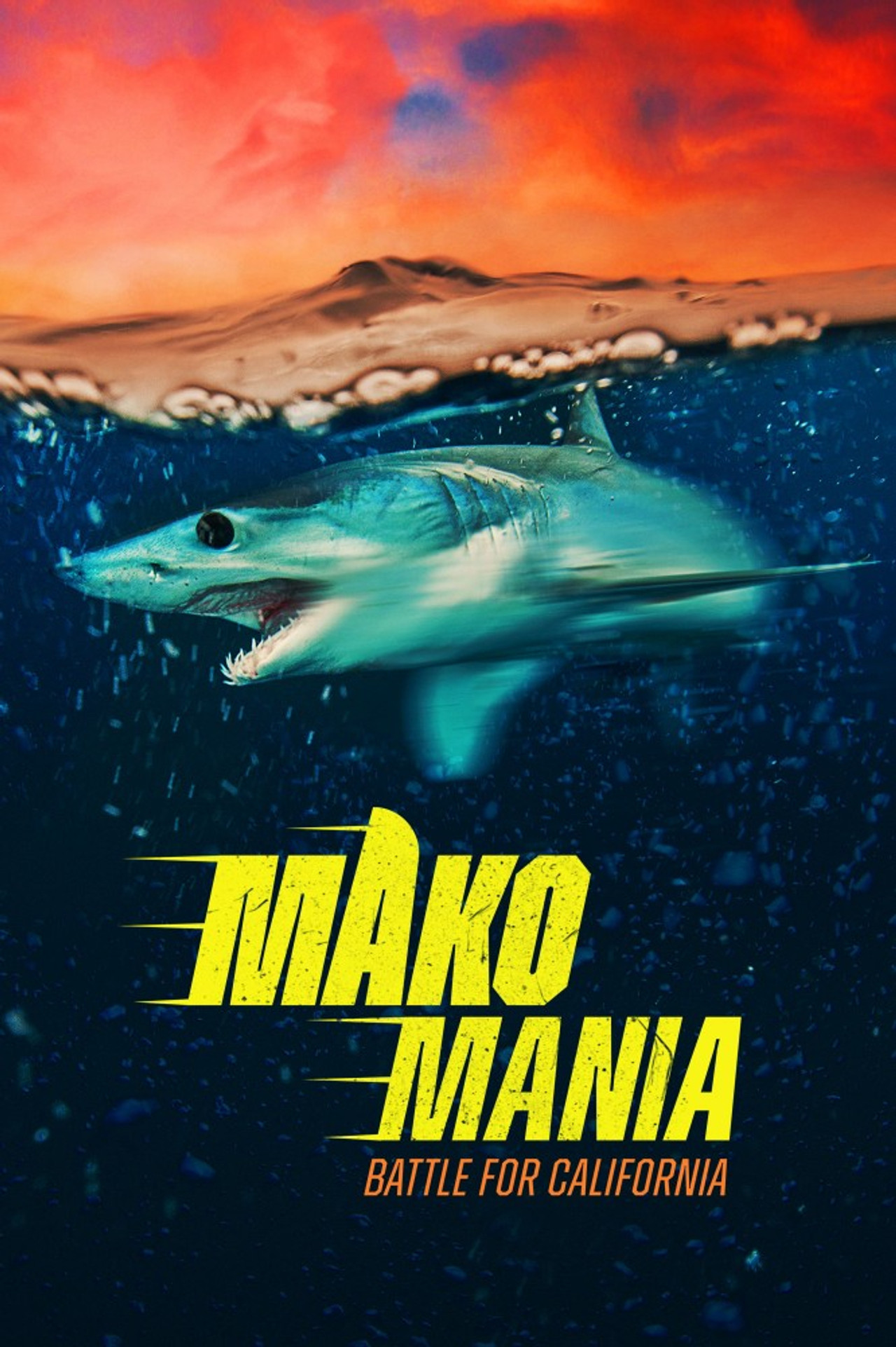 Mako manía: la batalla por California