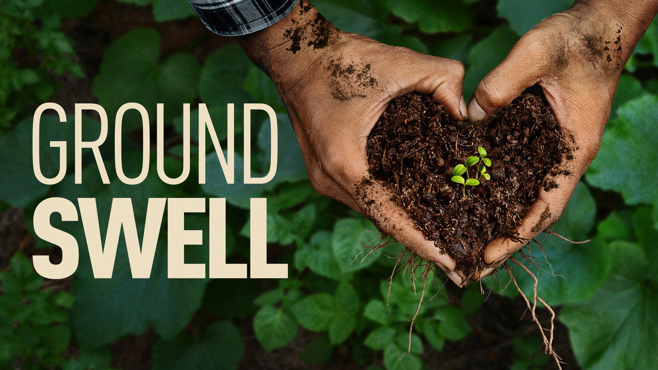 Groundswell