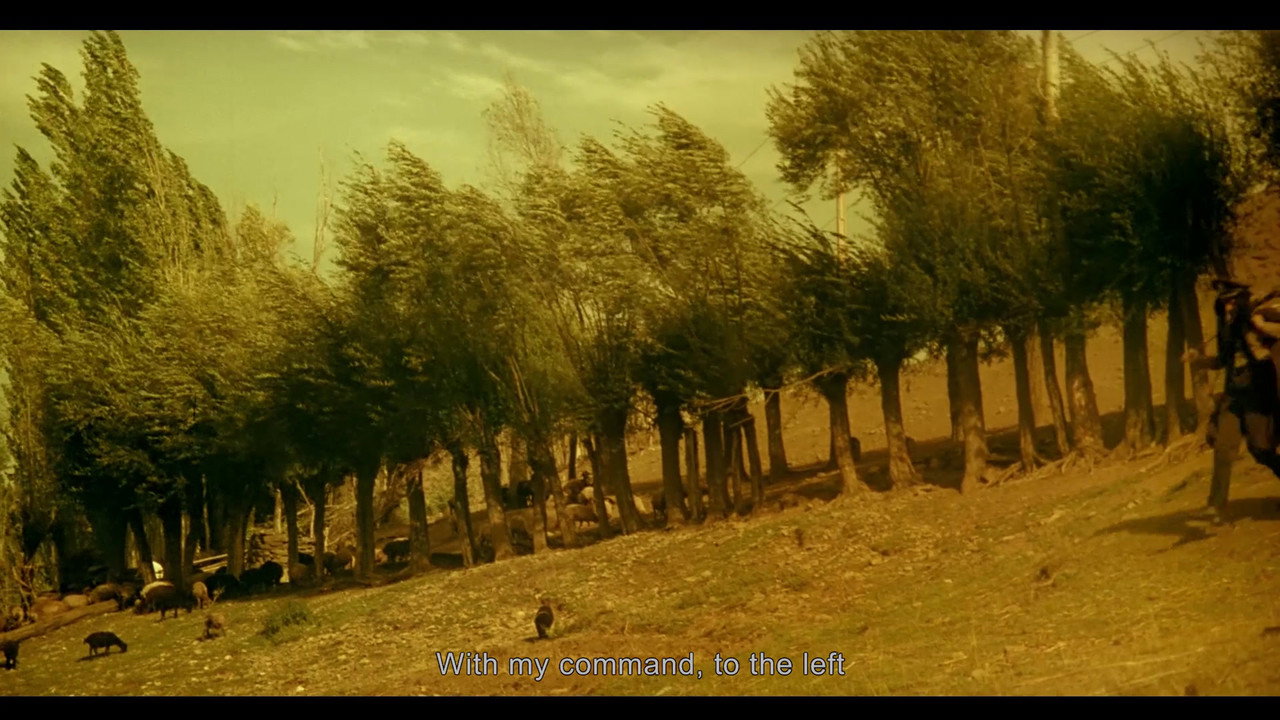 The Pear Tree backdrop