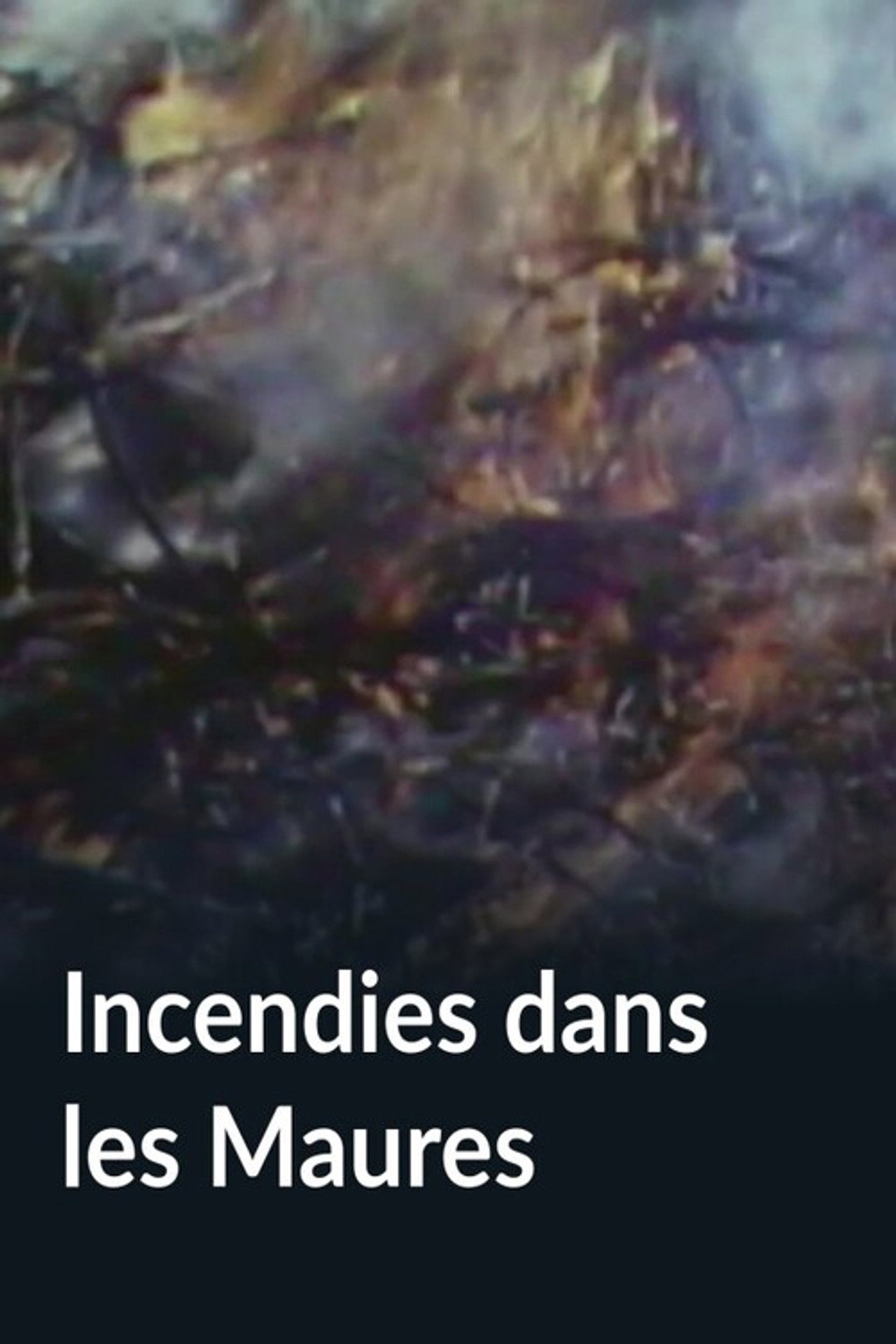 Incendies dans les Maures