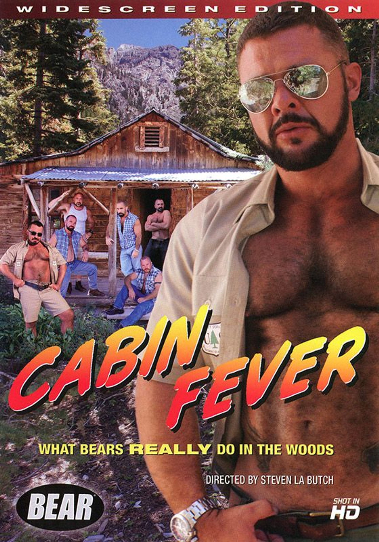 Cabin Fever filmaffisch