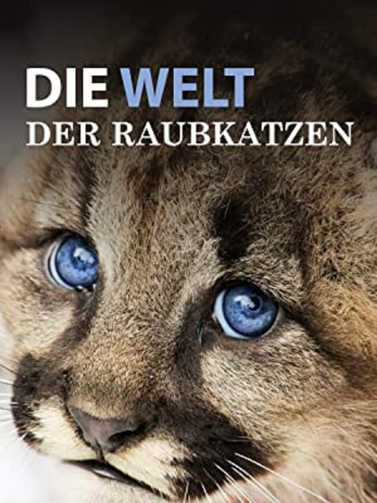 Die Welt der Raubkatzen filmaffisch