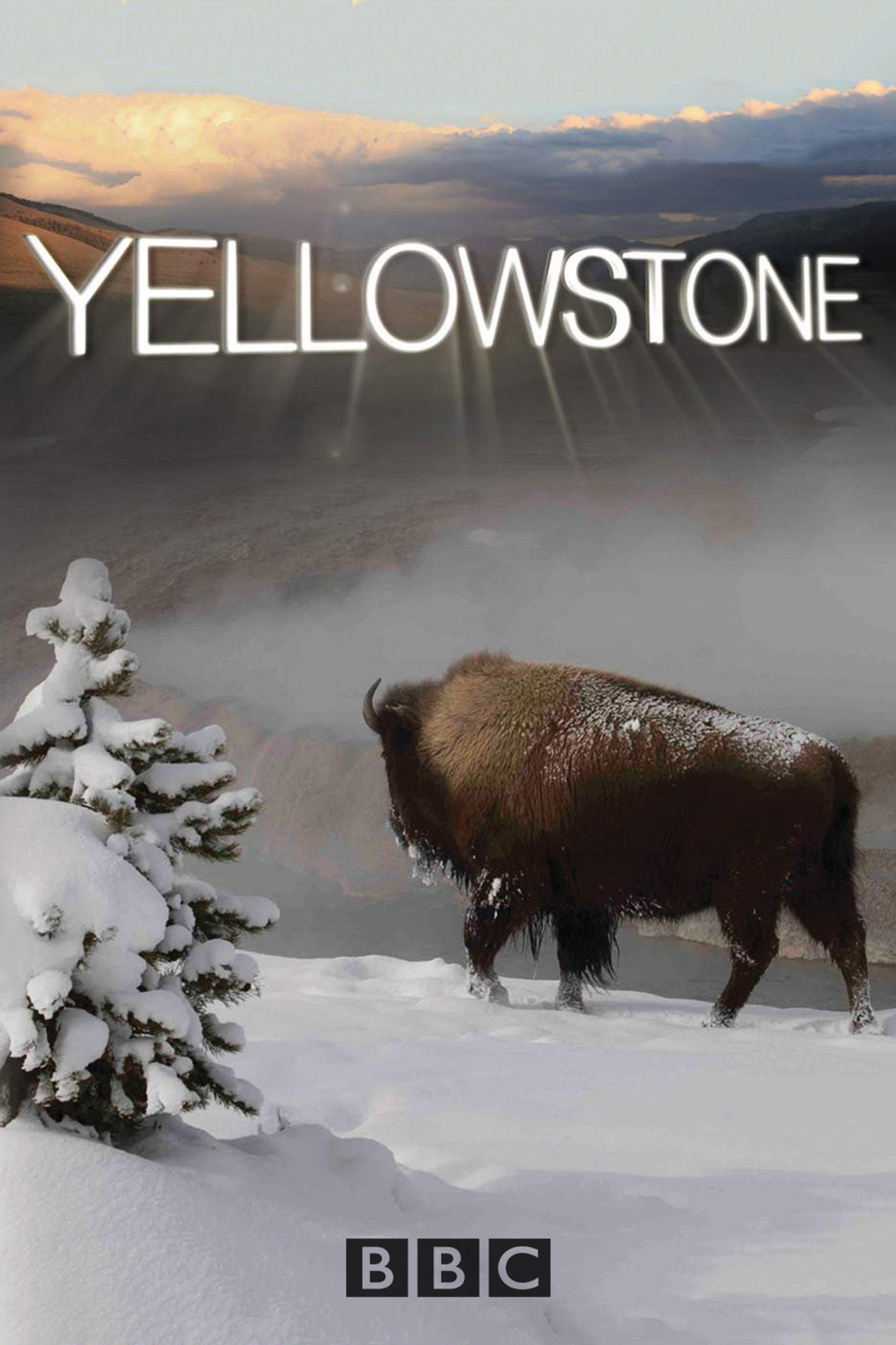 Yellowstone still 5