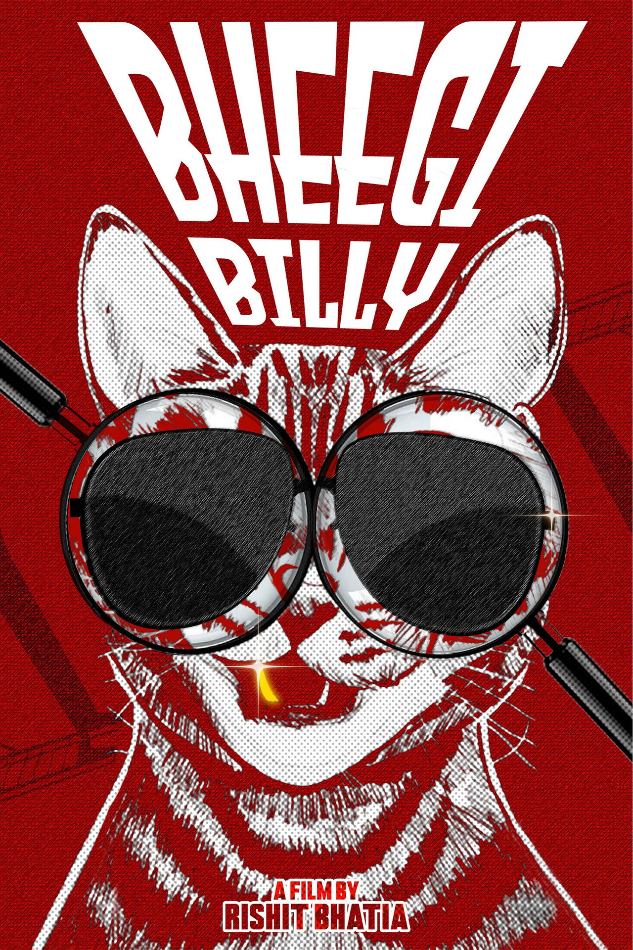 Bheegi Billy