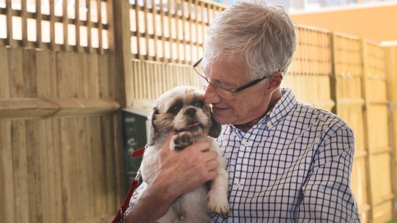 For the Love of Dogs - Season 9 Episode 5 : Episode 5