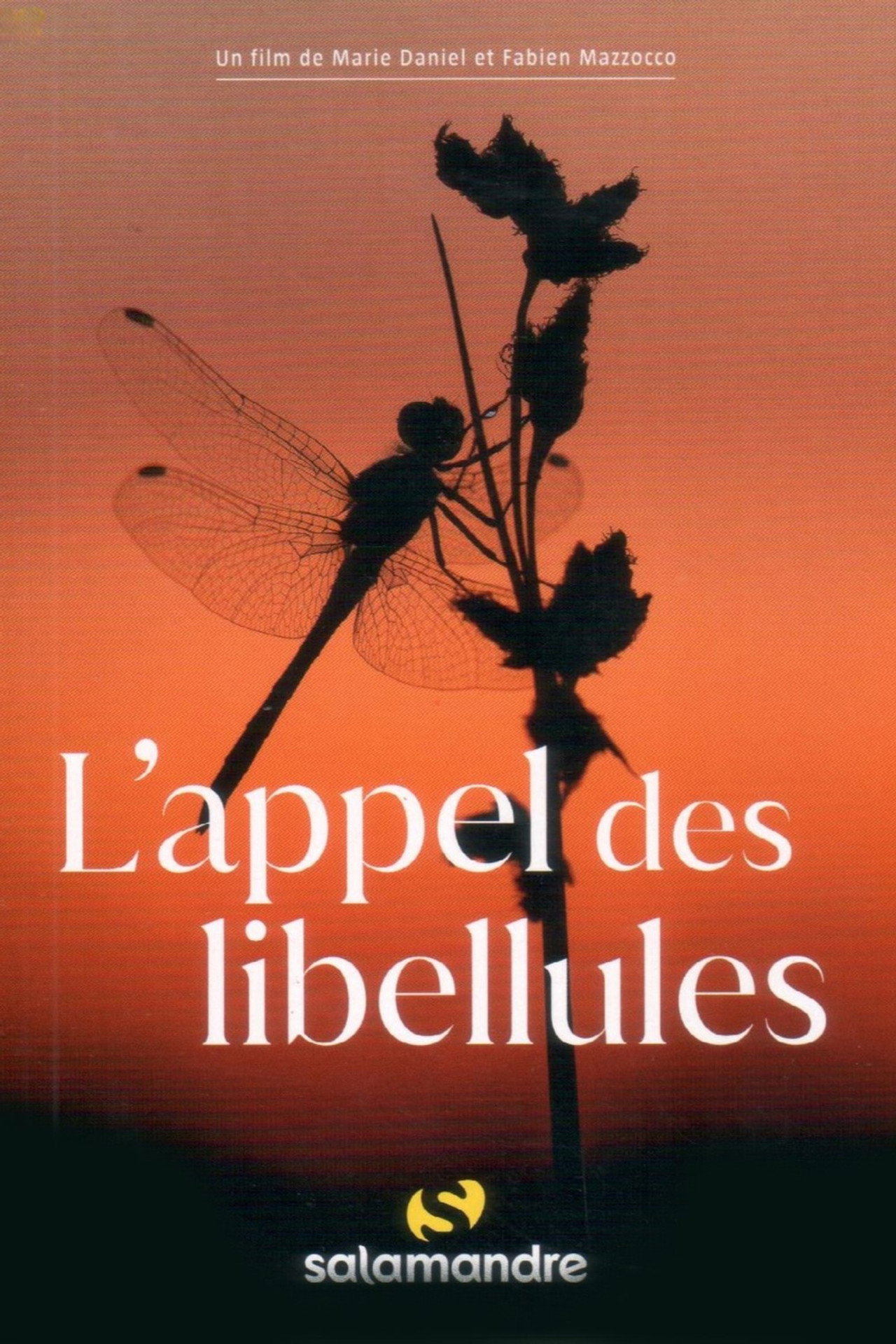 L'Appel Des Libellules filmaffisch