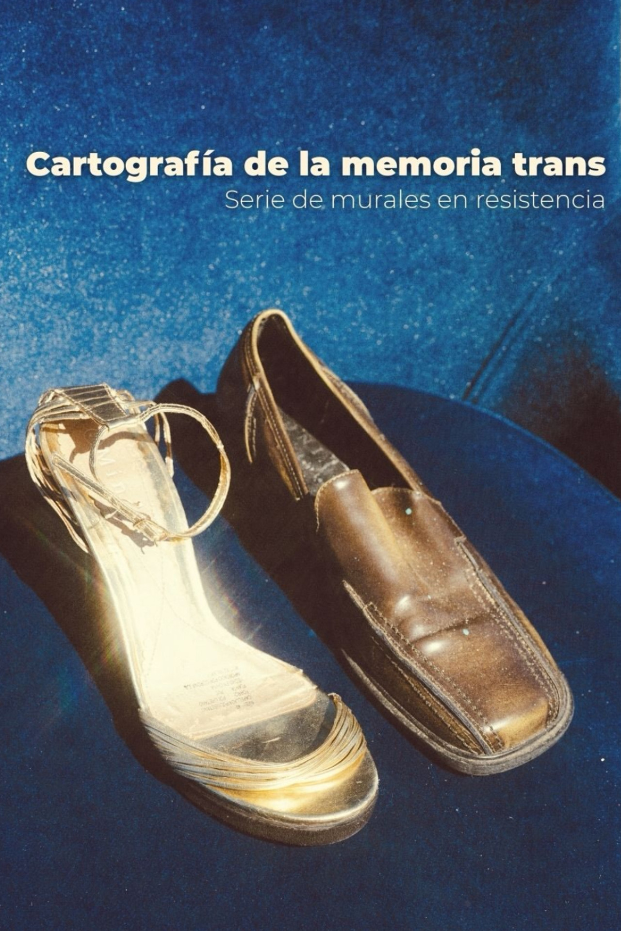 Cartography of Trans Memory: A series of murals in resistance