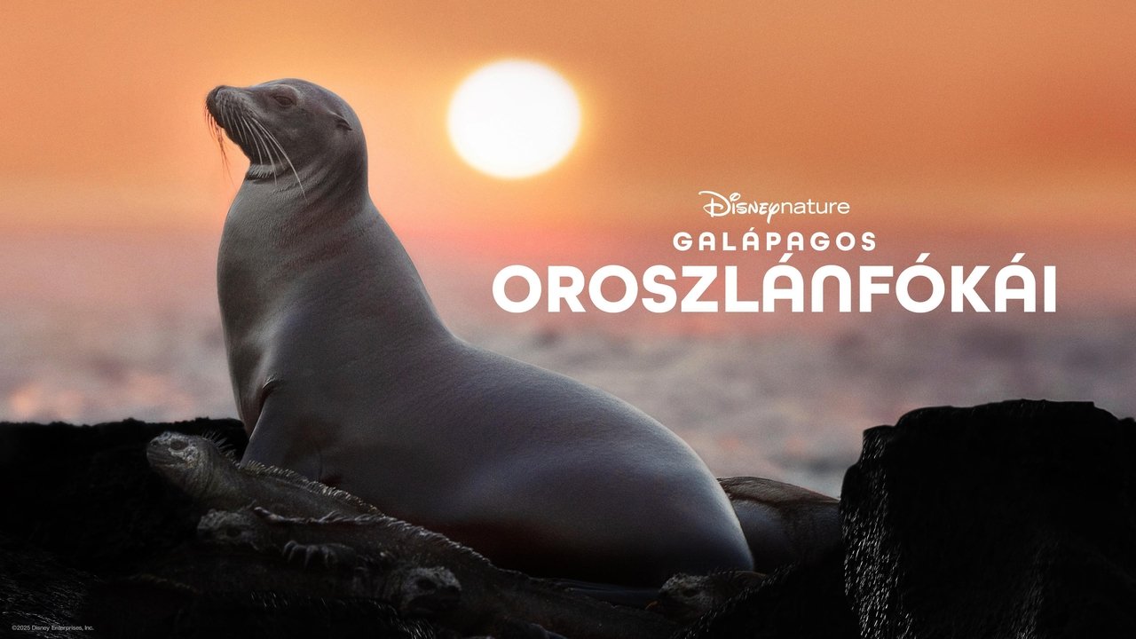 title image