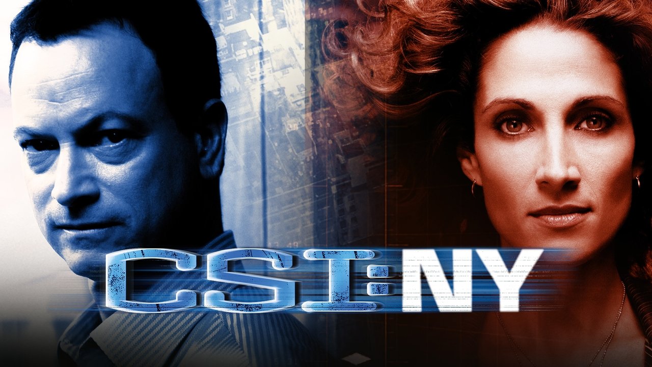 CSI: NY - Season 1 Episode 10 : Night, Mother