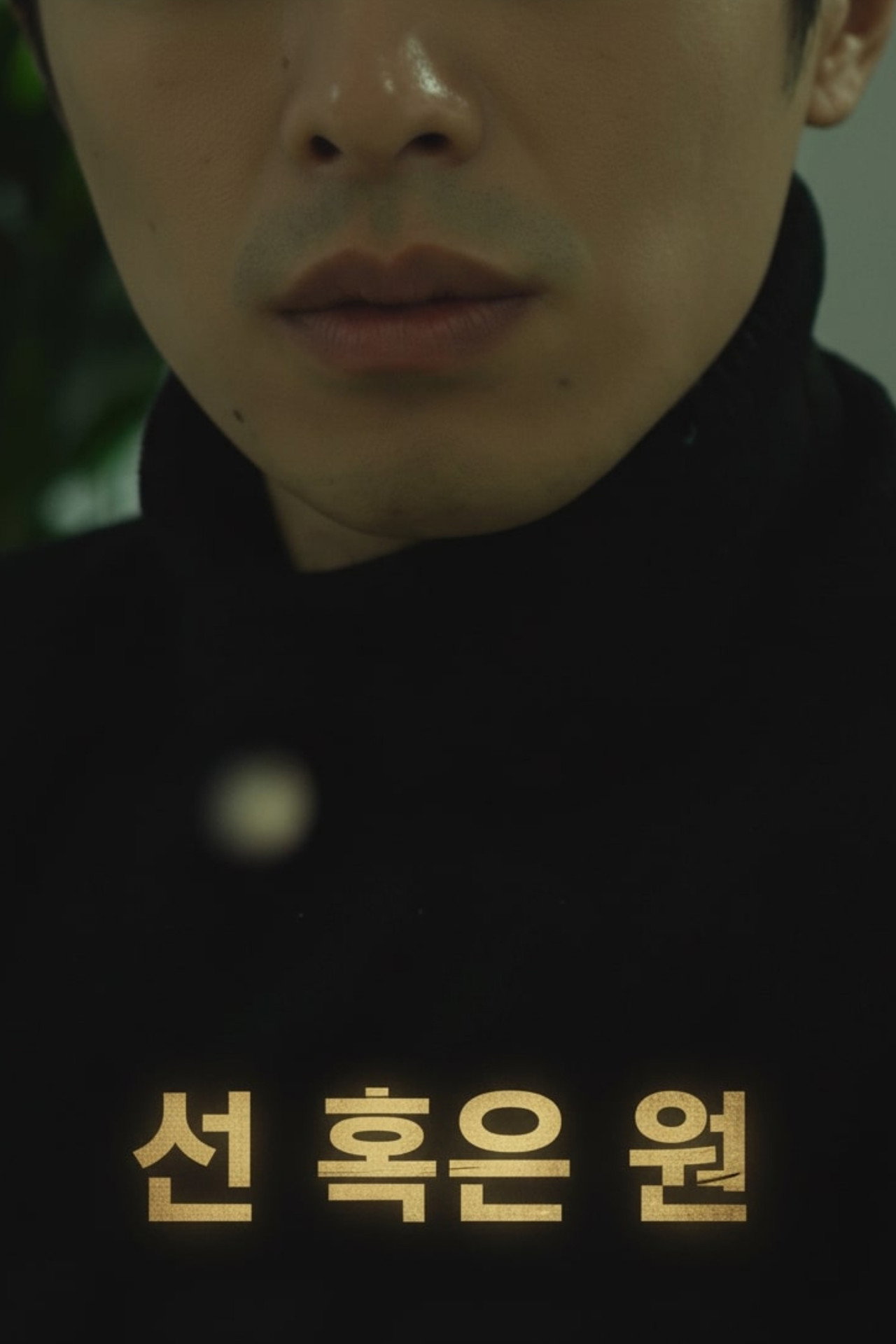 선 혹은 원