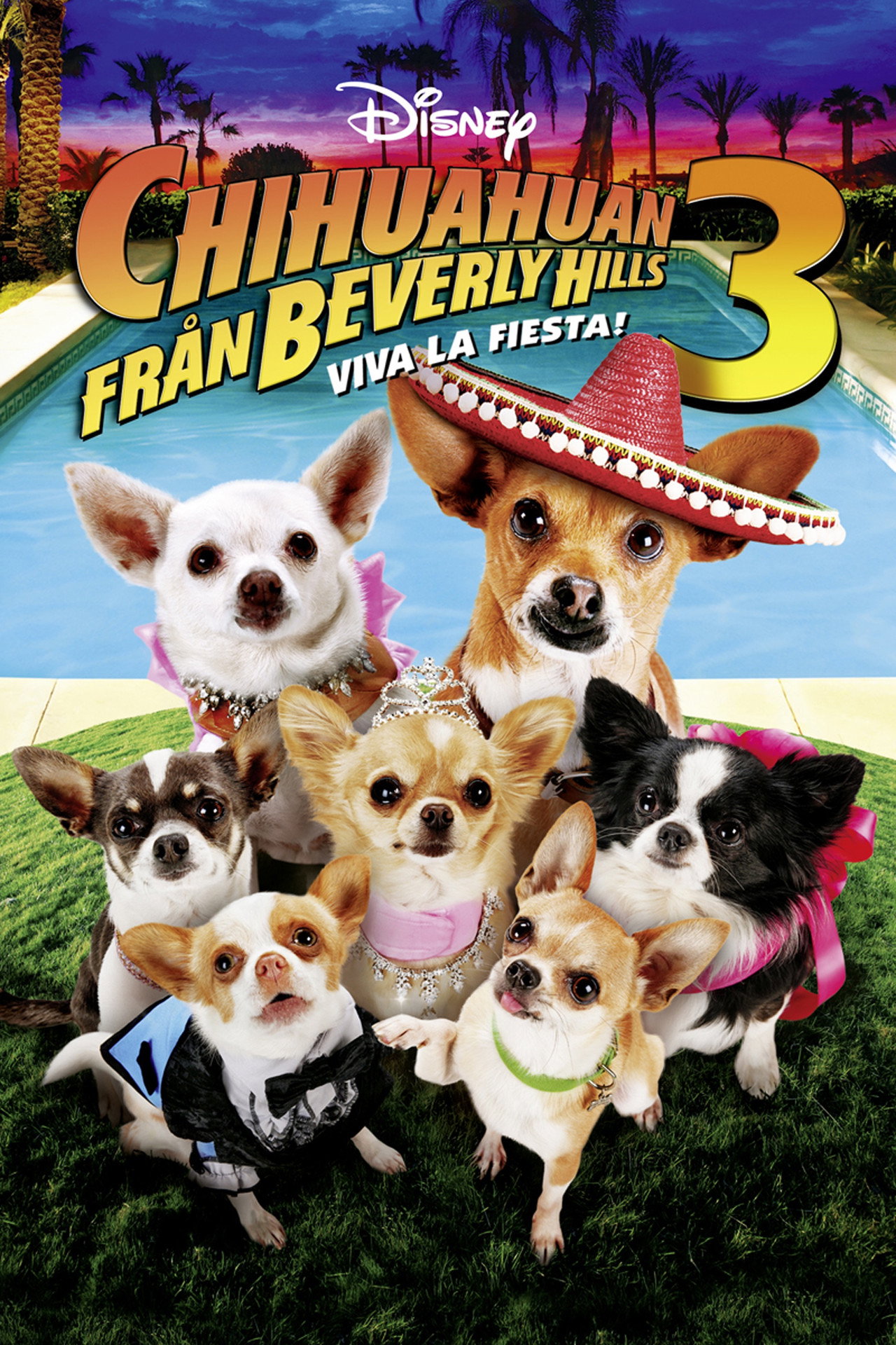 Chihuahuan från Beverly Hills 3 filmaffisch