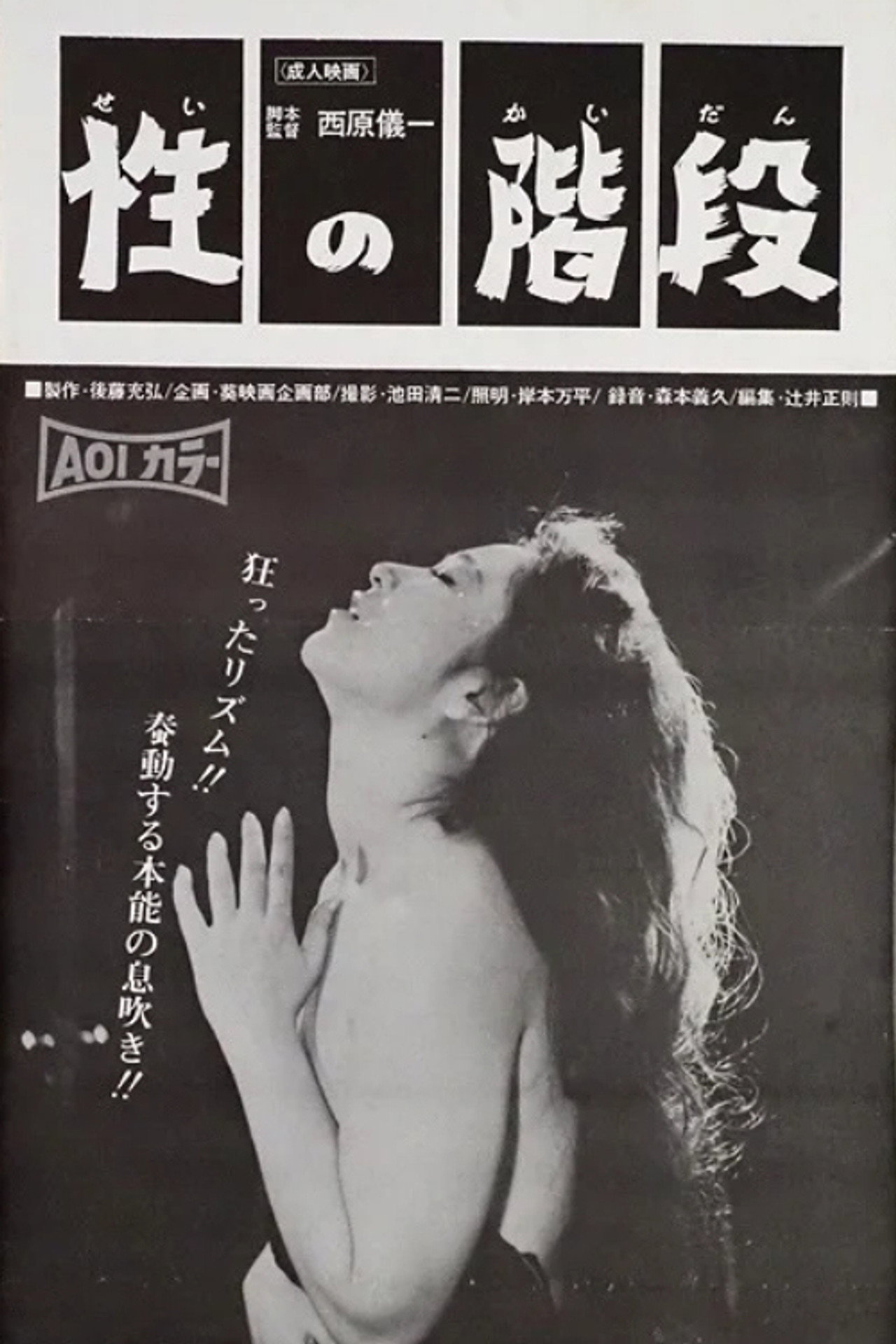 The Staircase of Sex poster