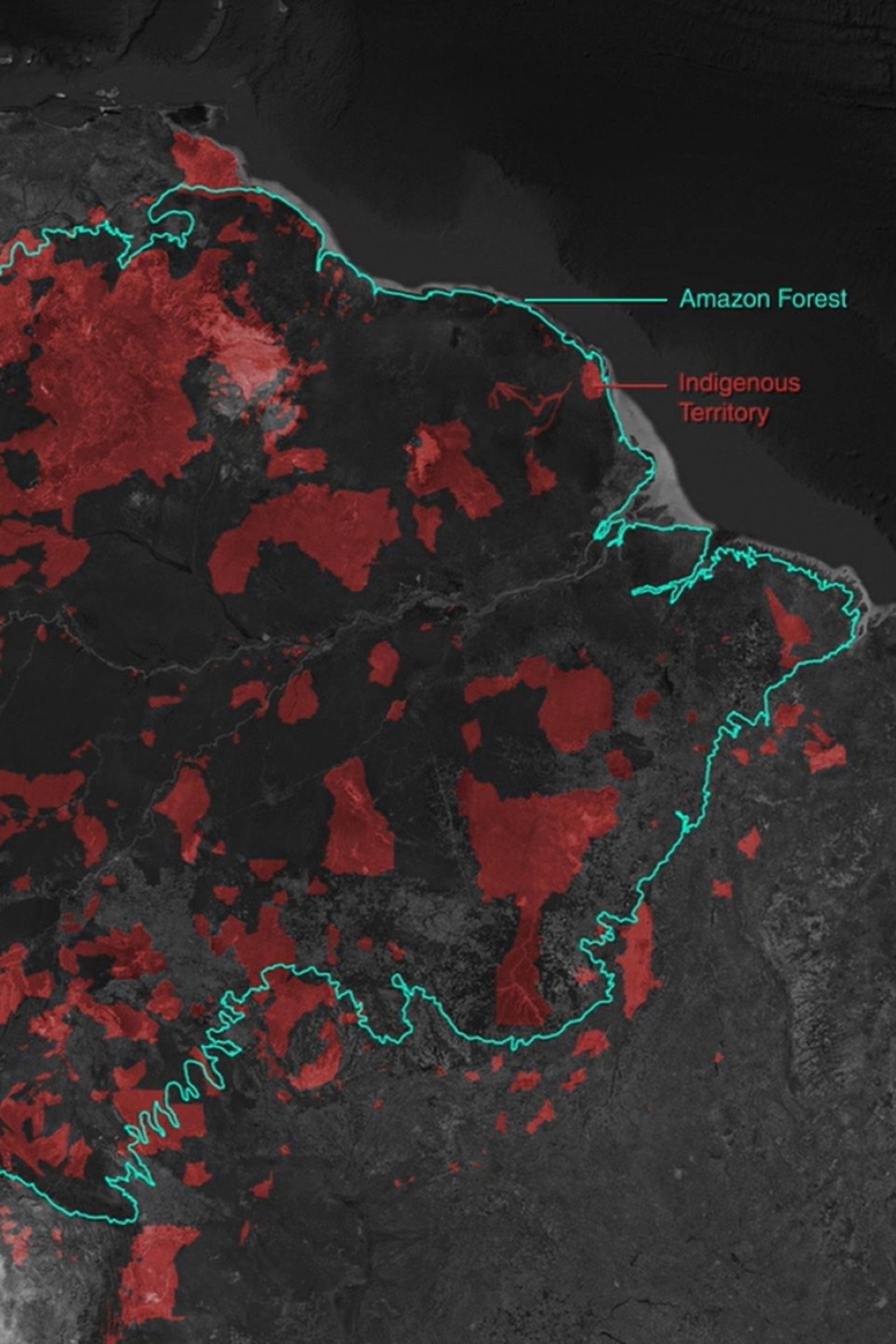 Gold Mining and Violence in the Amazon Rainforest filmaffisch