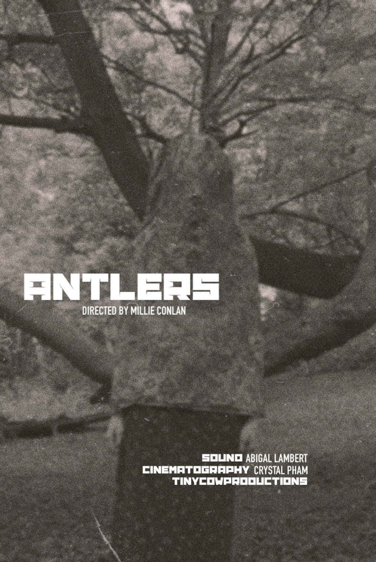 ANTLERS Backdrop