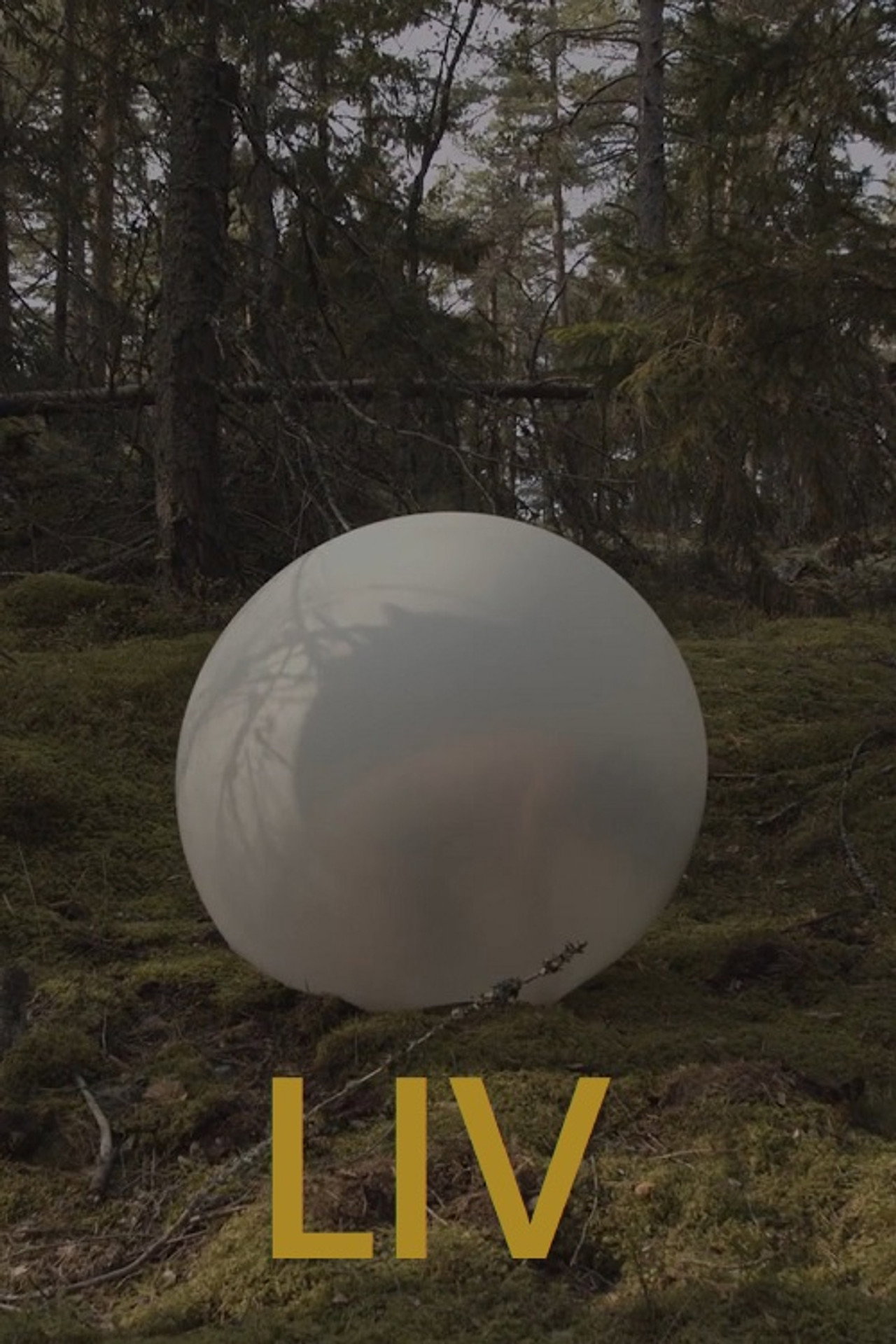 Life (2023)