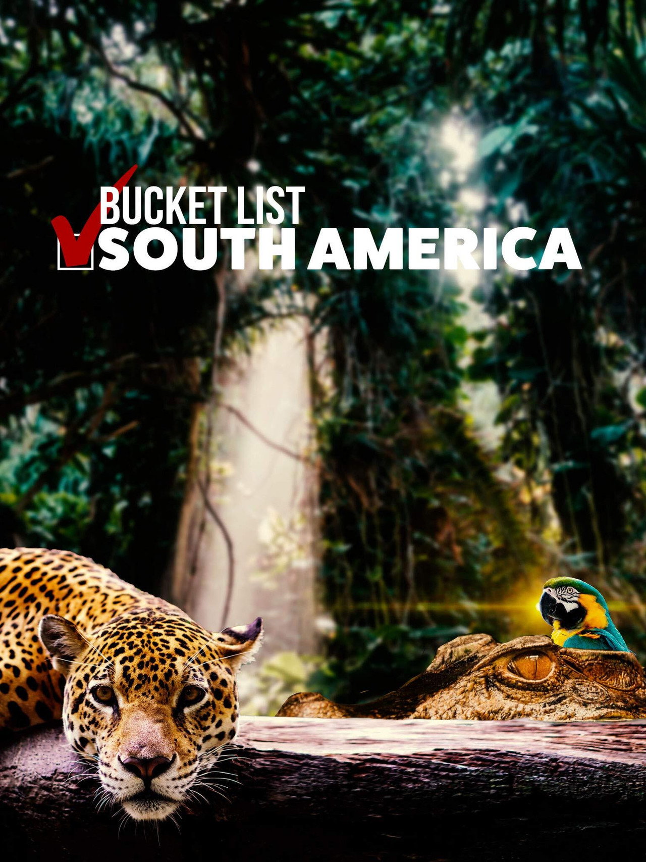 Bucket List: South America Backdrop