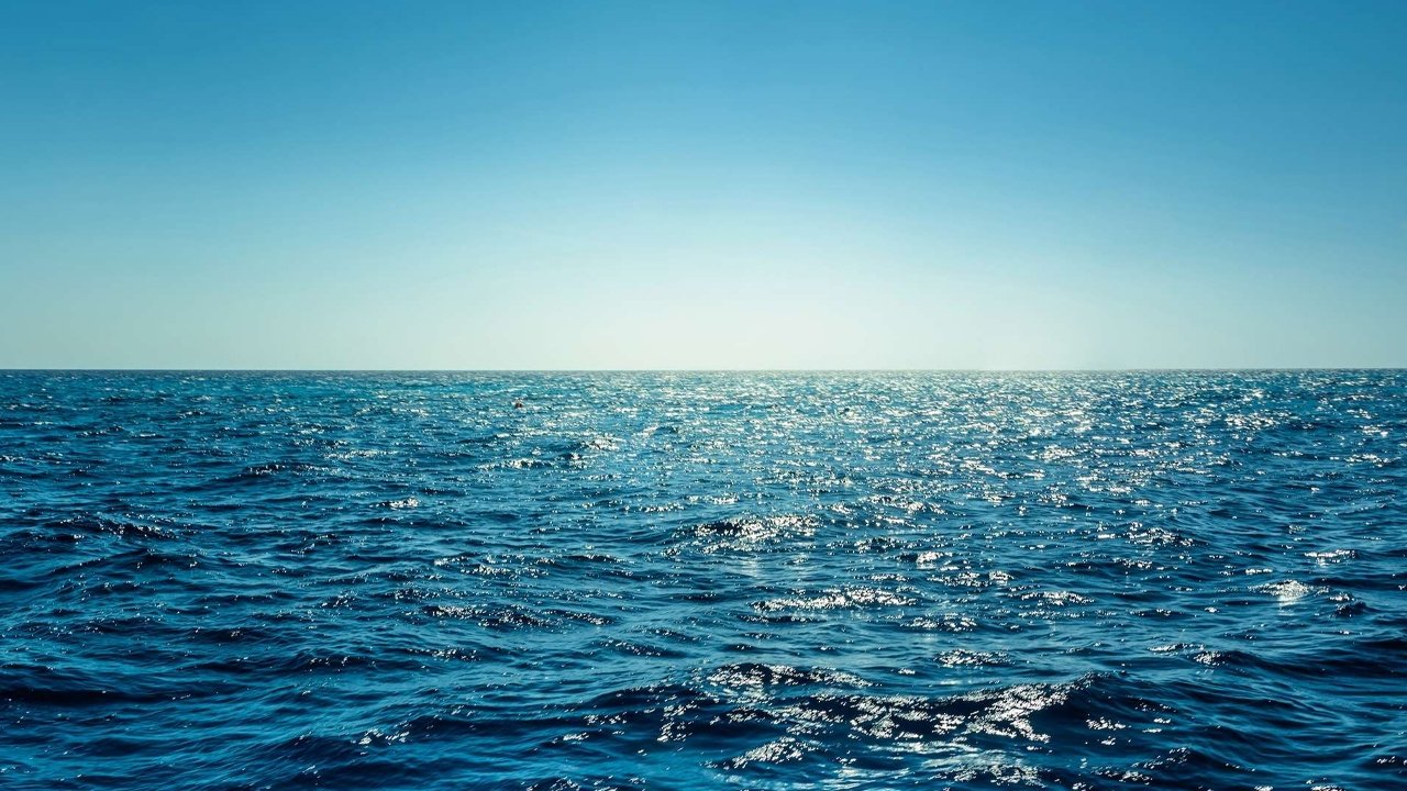 Die Gier nach Meer: Wie der Mensch die Ozeane ausbeutet