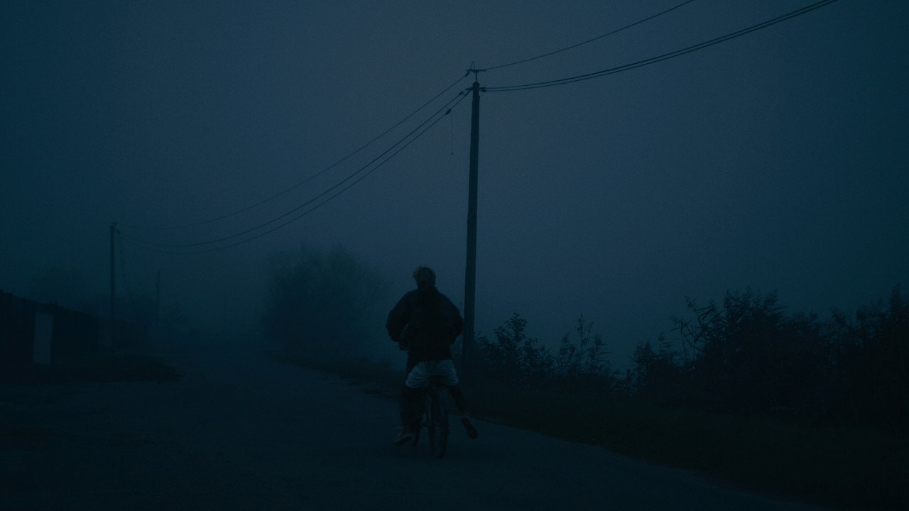 Ne réveille pas les poissons still 6