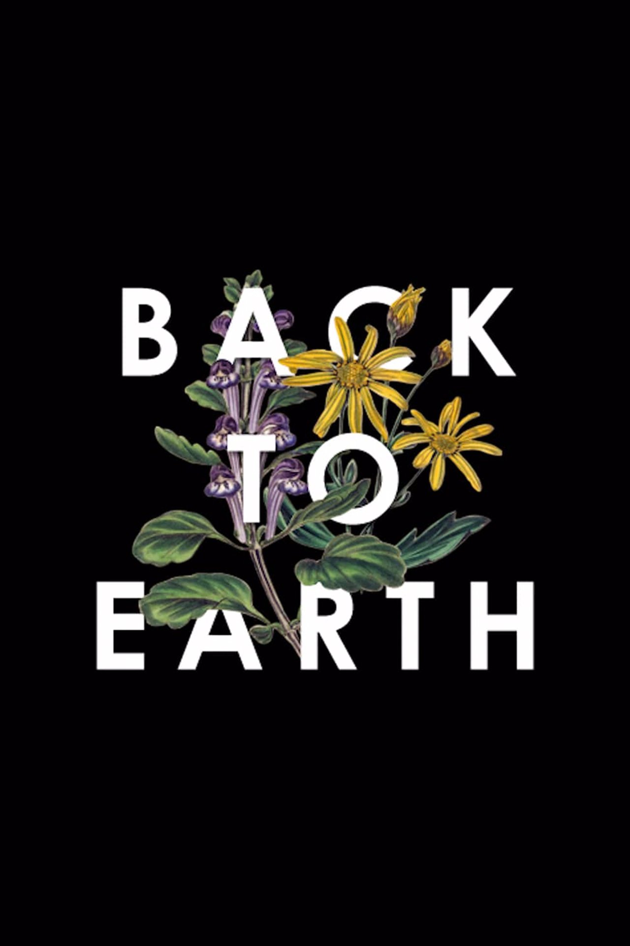 Back to Earth Back to Earth