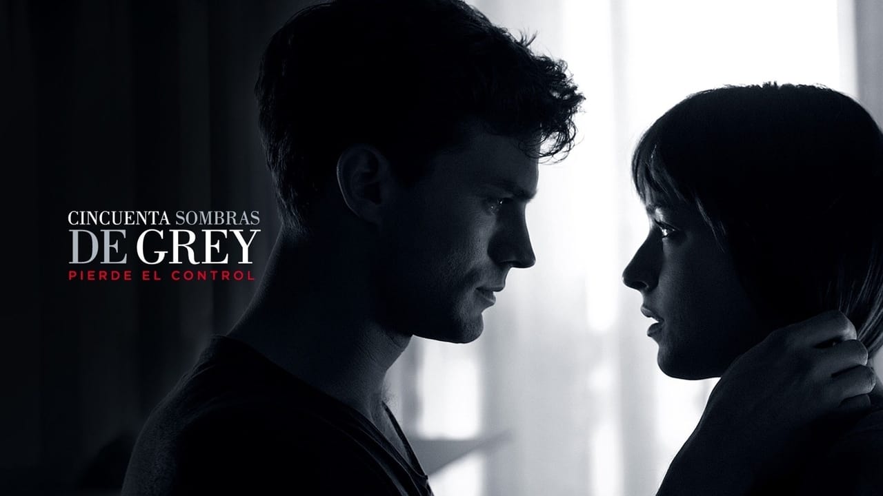 Fifty Shades of Grey 2015 - Movie Banner