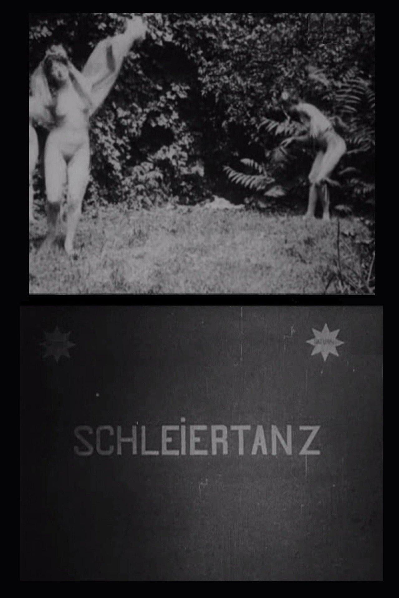 Schleiertanz filmaffisch
