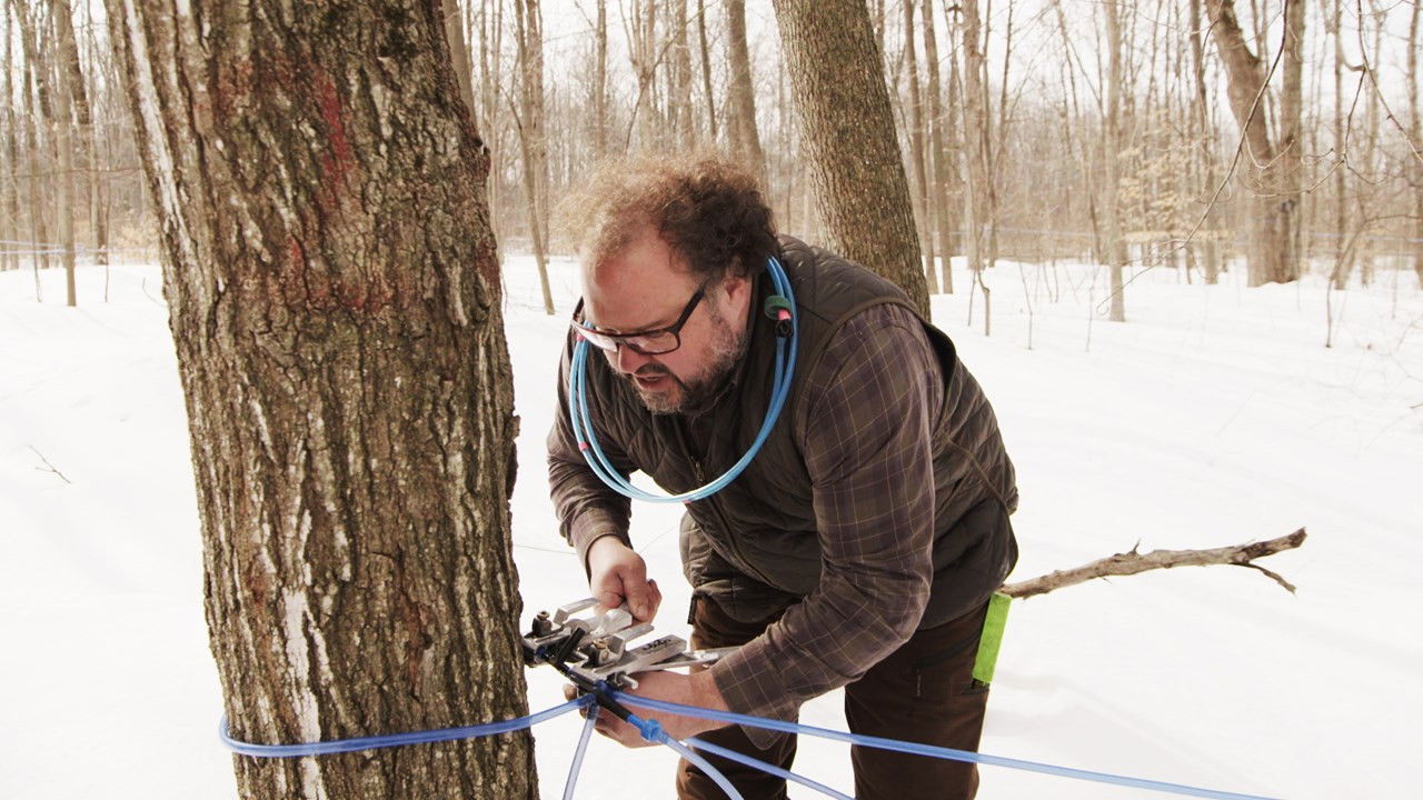 Un chef à la cabane — Épisode 11