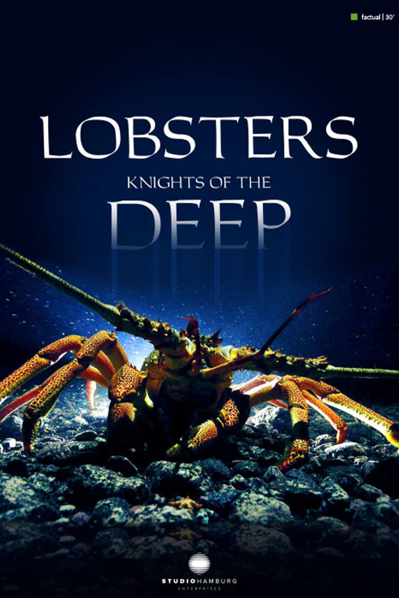 Lobsters - Knights of the deep filmaffisch