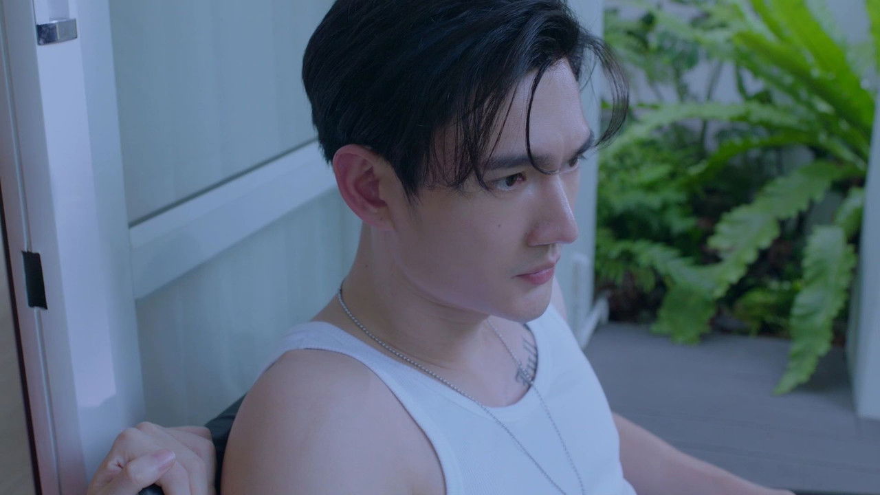 Image Pit Babe / Regele Vitezei (2023 - 2025)