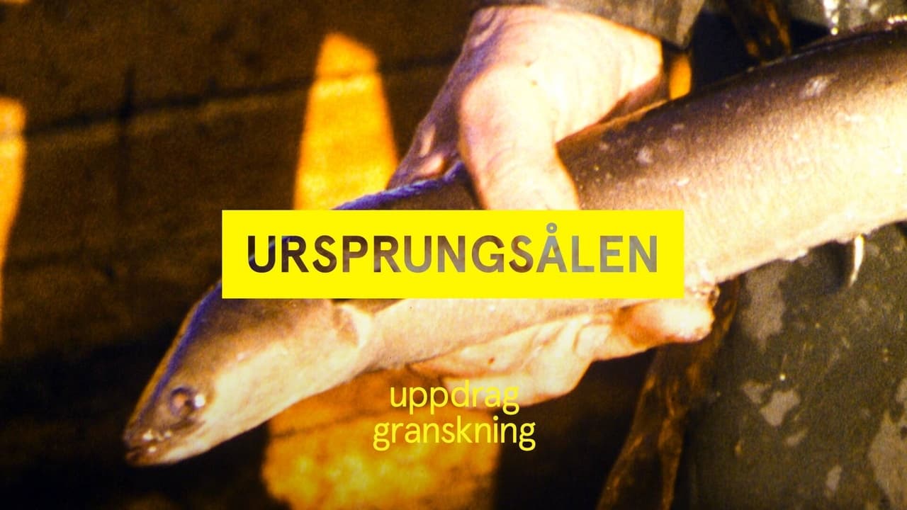 Uppdrag granskning - Season 22 Episode 25 : Episode 25