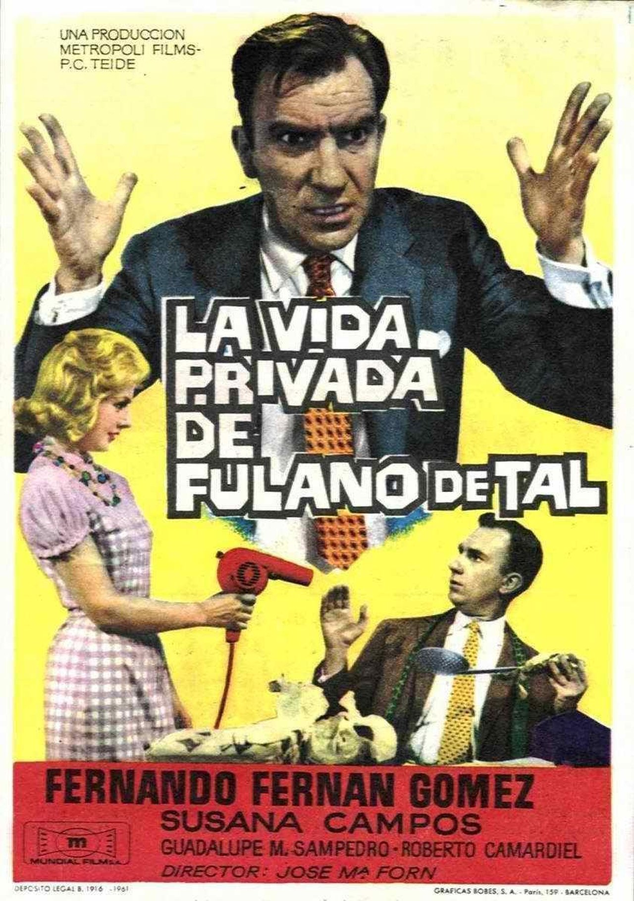 مشاهدة فيلم La vida privada de Fulano de Tal مترجم بدون اعلانات - بوستر