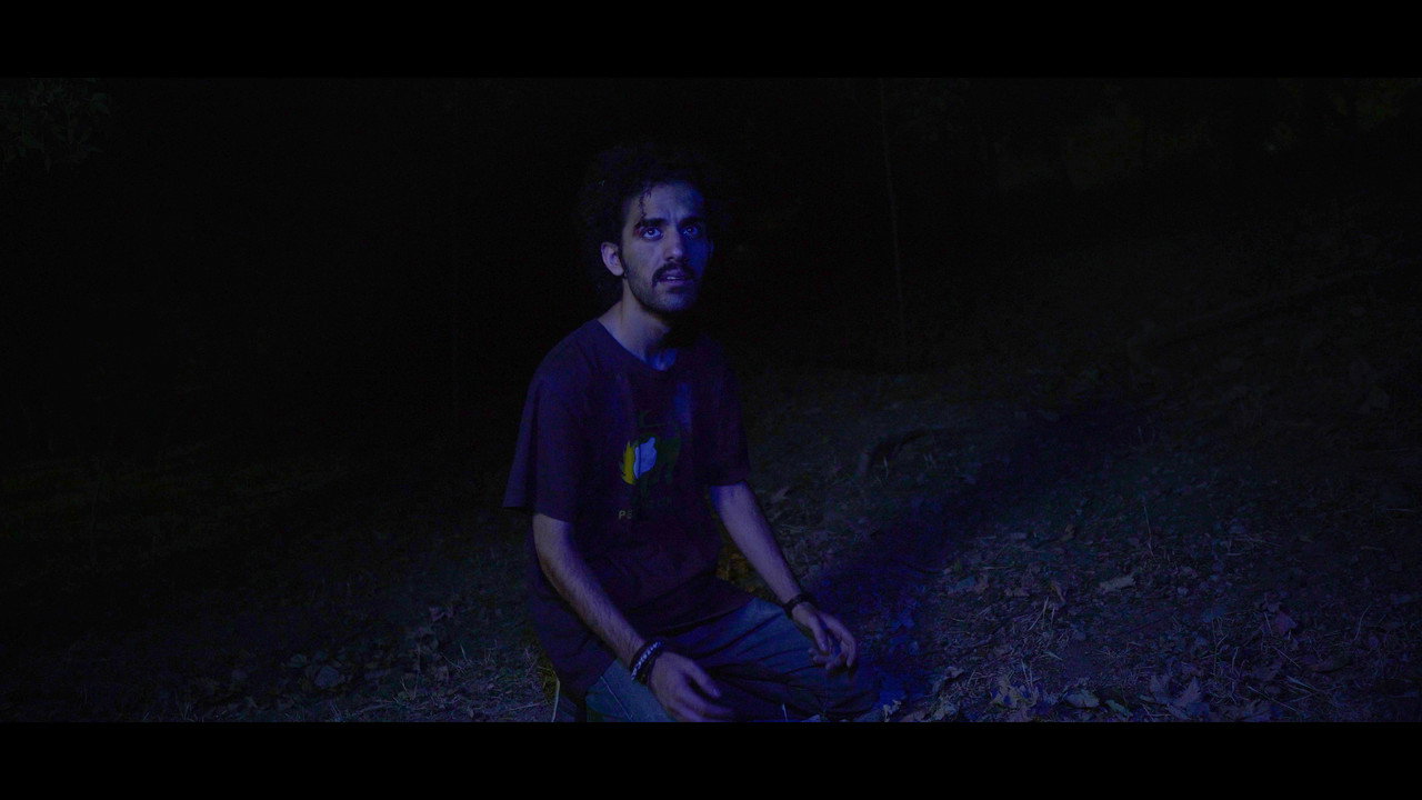 Music Forest still 6