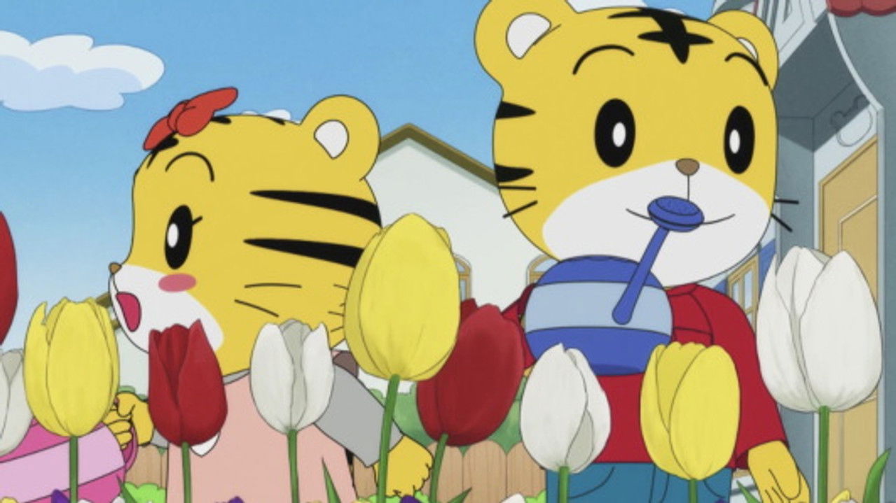 Image Shimajiro: A Wonderful Adventure