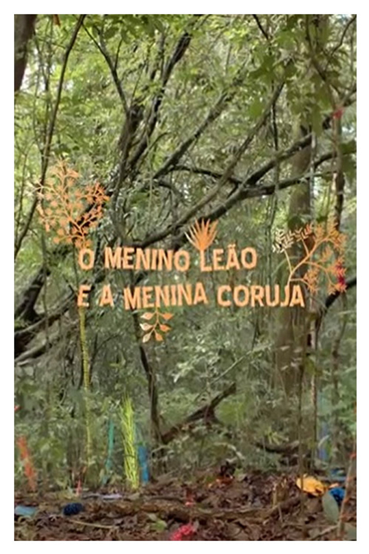 O Menino Leão e a Menina Coruja filmaffisch