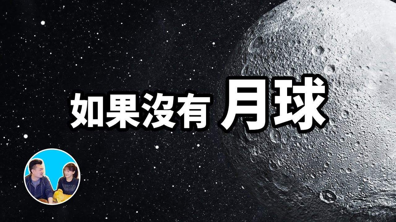 老高与小茉 — Épisode 124