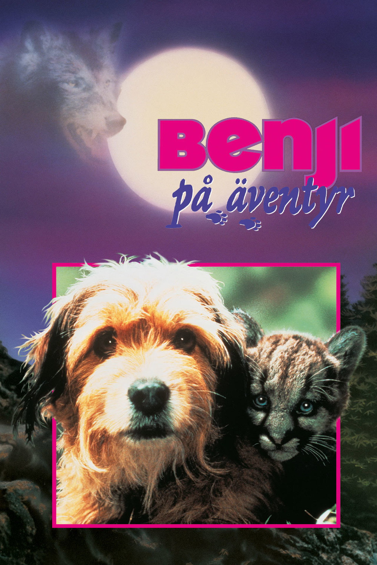 Benji på äventyr filmaffisch