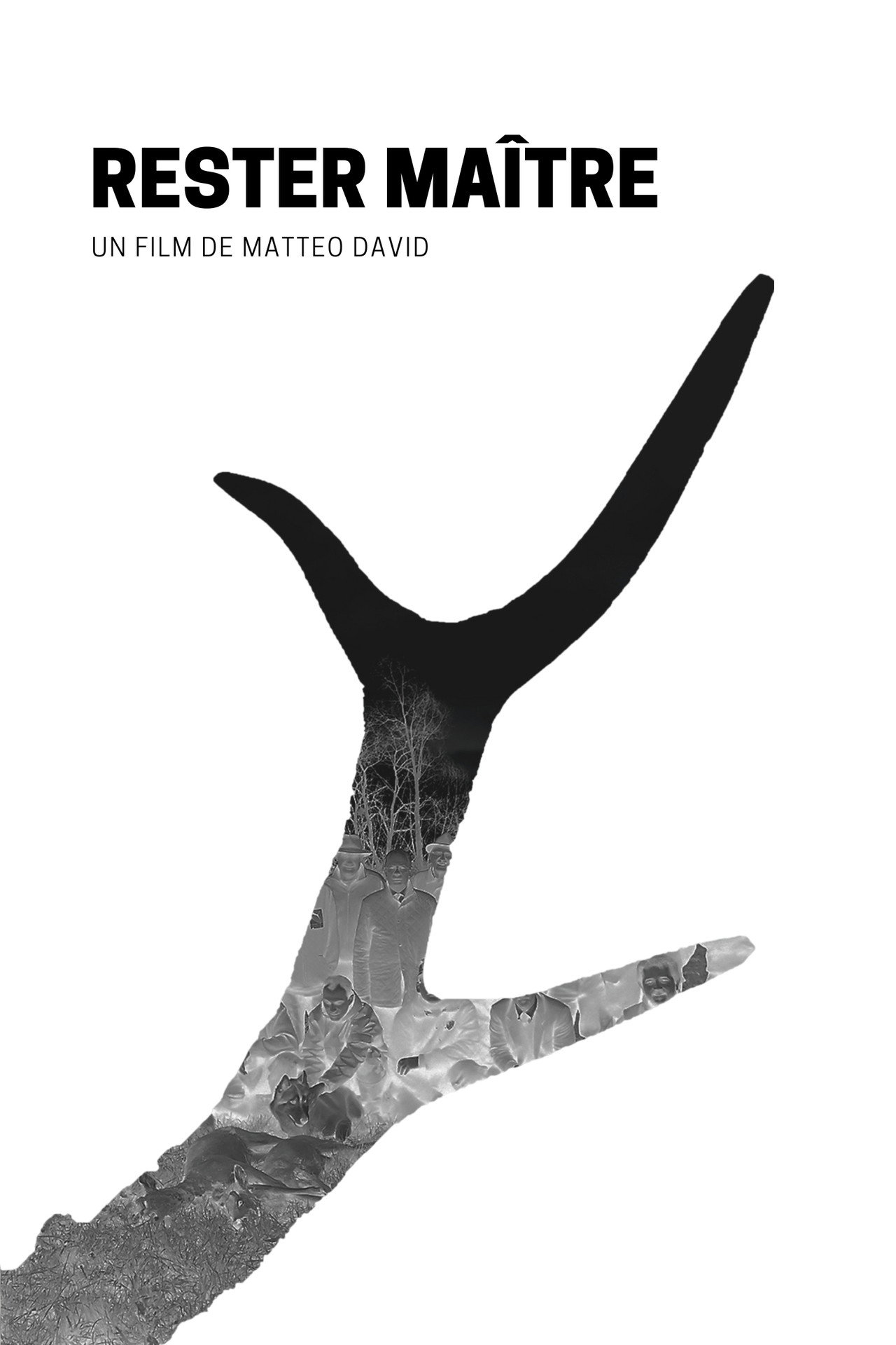Rester Maître filmaffisch