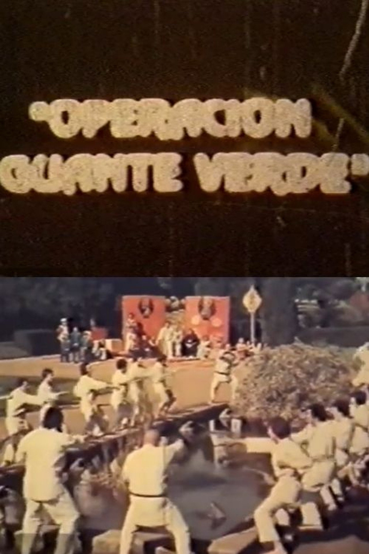 Operación Guante Verde