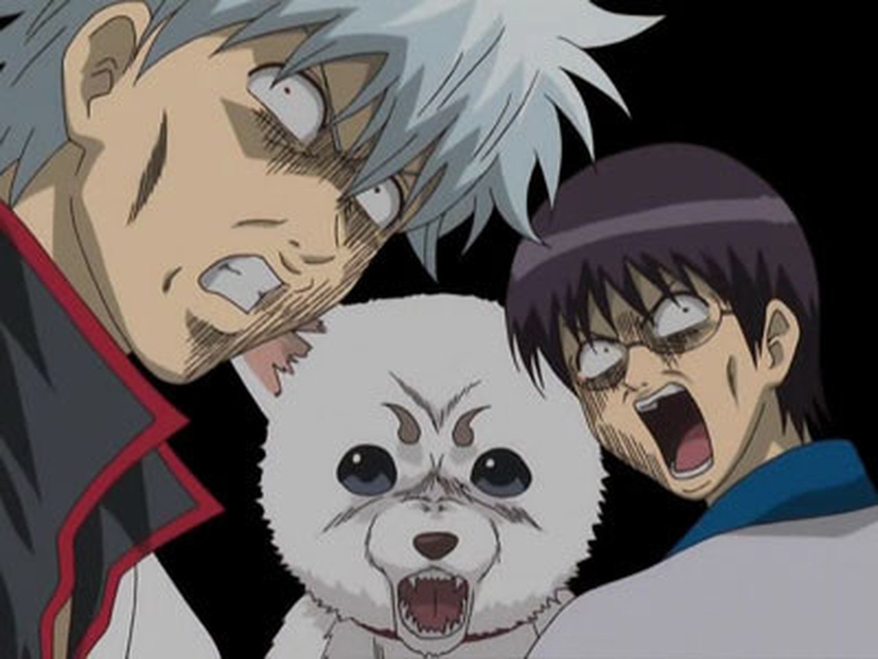 Gintama - Season 2 Episode 24 : Think for a Minute Now, Do Matsutake Mushrooms Really Taste All that Good?