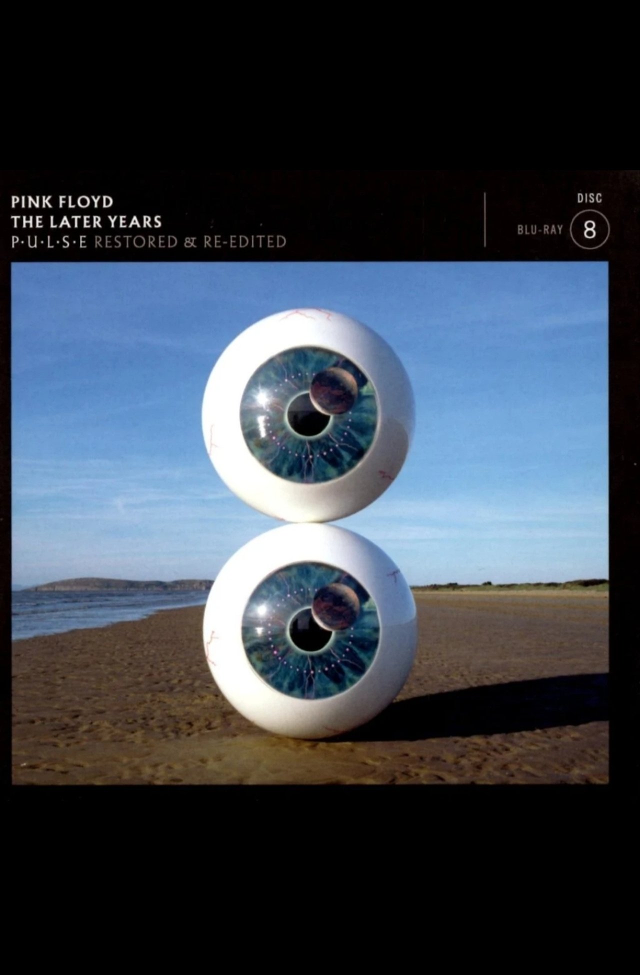 مشاهدة فيلم Pink Floyd - The Later Years Vol 3 - Pulse مترجم بدون اعلانات - بوستر