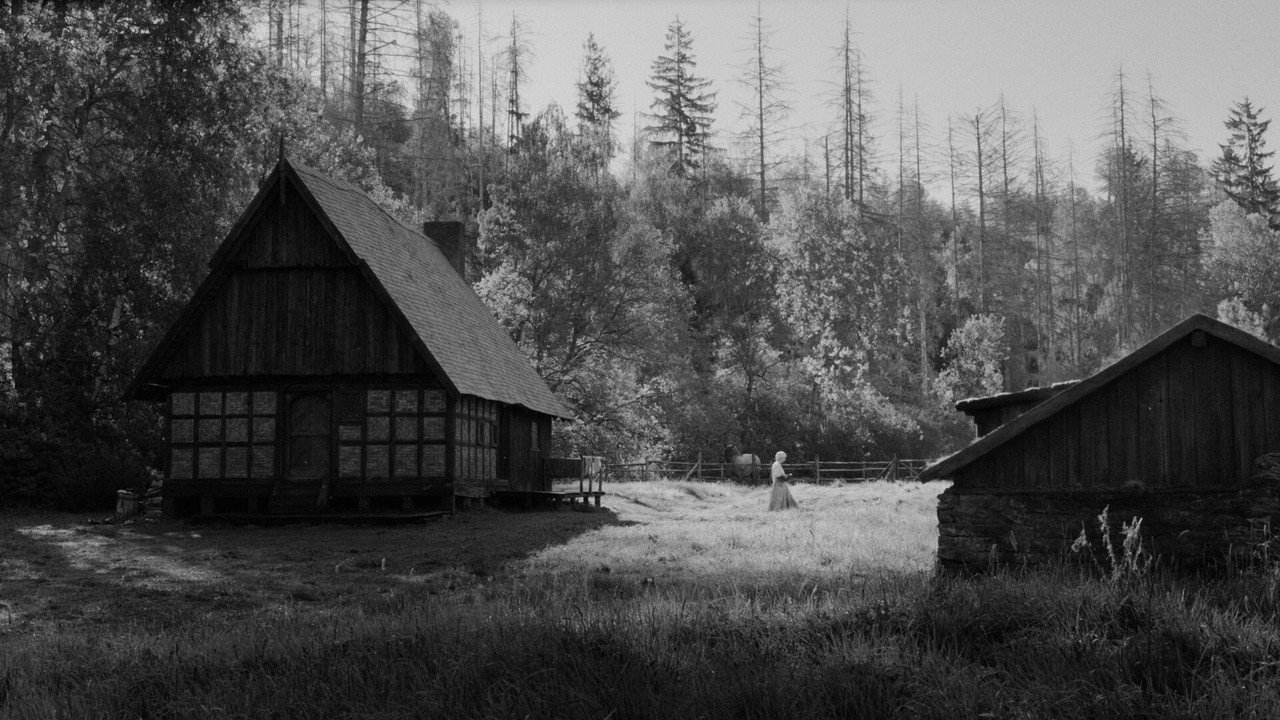 Galerie du film — 29