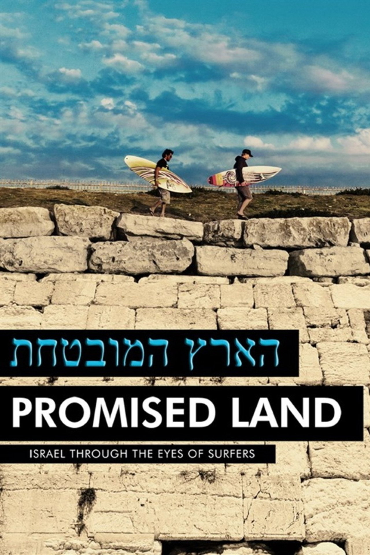 הארץ המובטחת poster