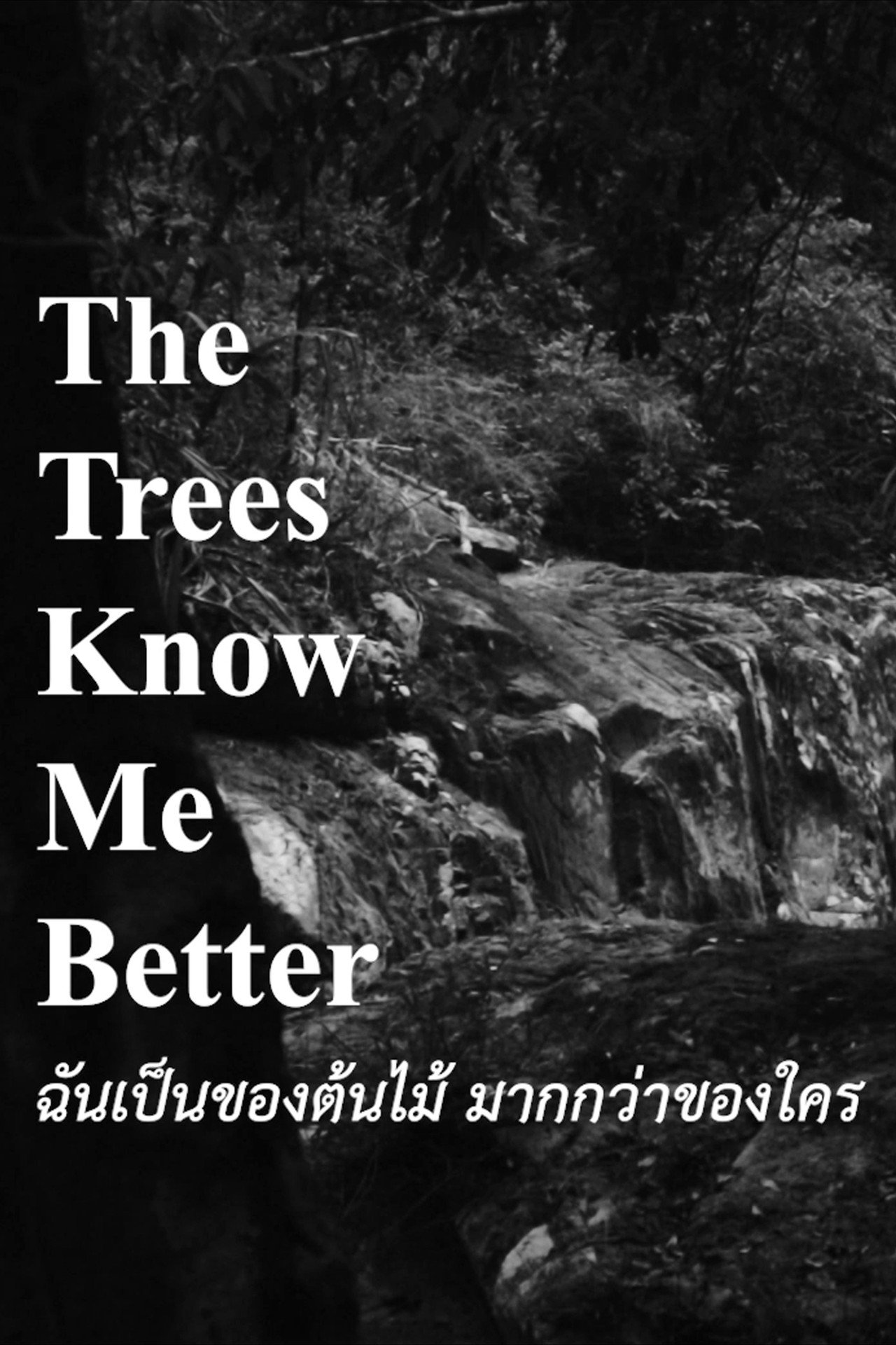 The Trees Know Me Better