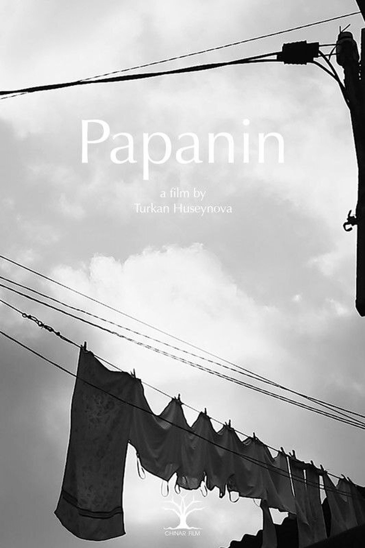 Papanin filmaffisch