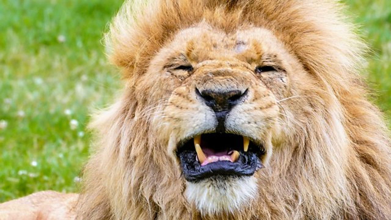 Animal Park — Épisode 7