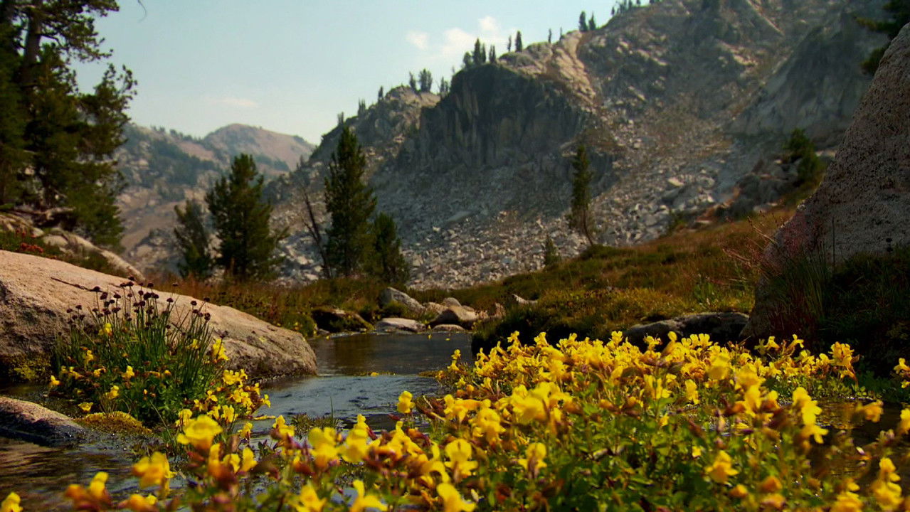 Oregon Field Guide — Épisode 2