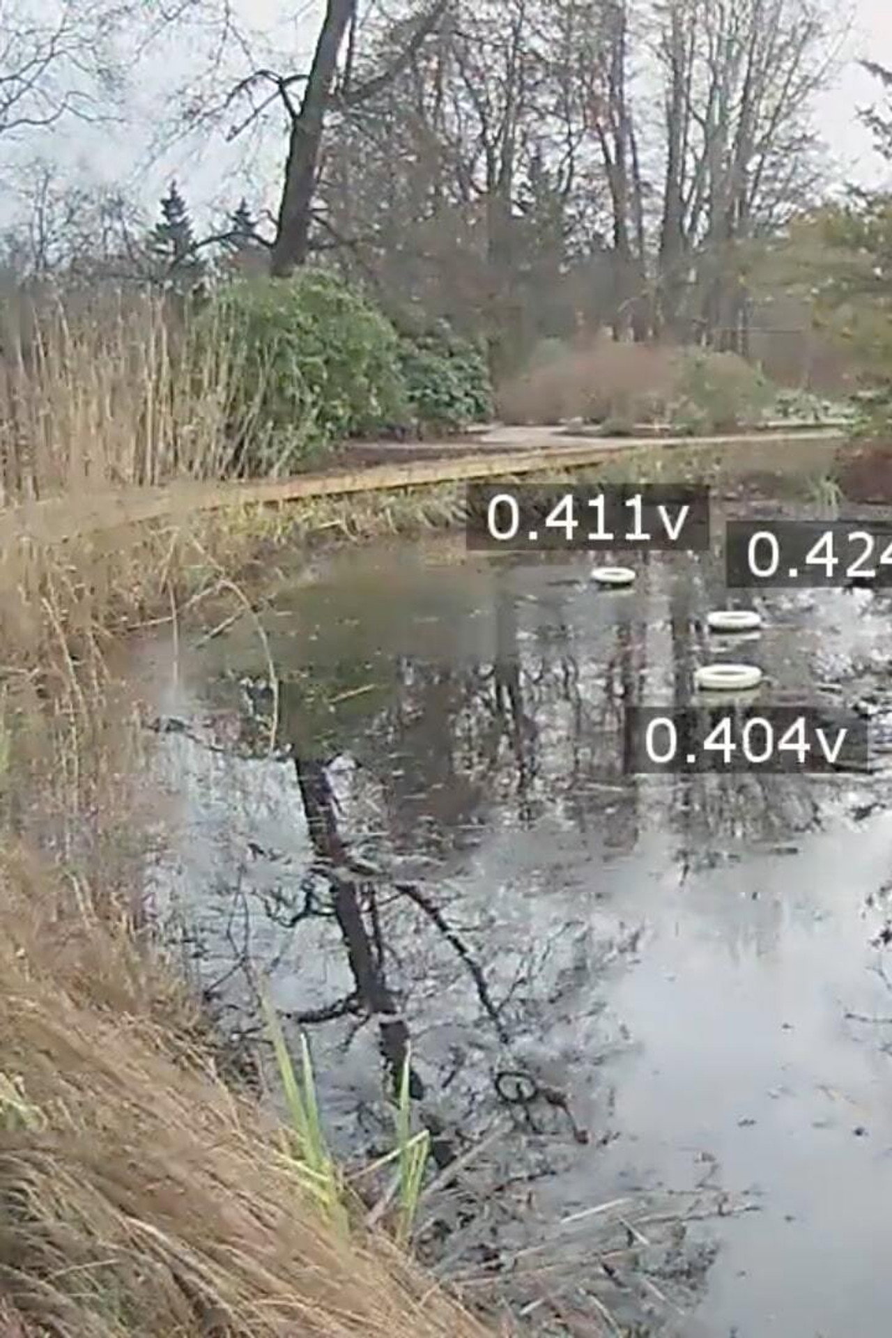 Pond Battery