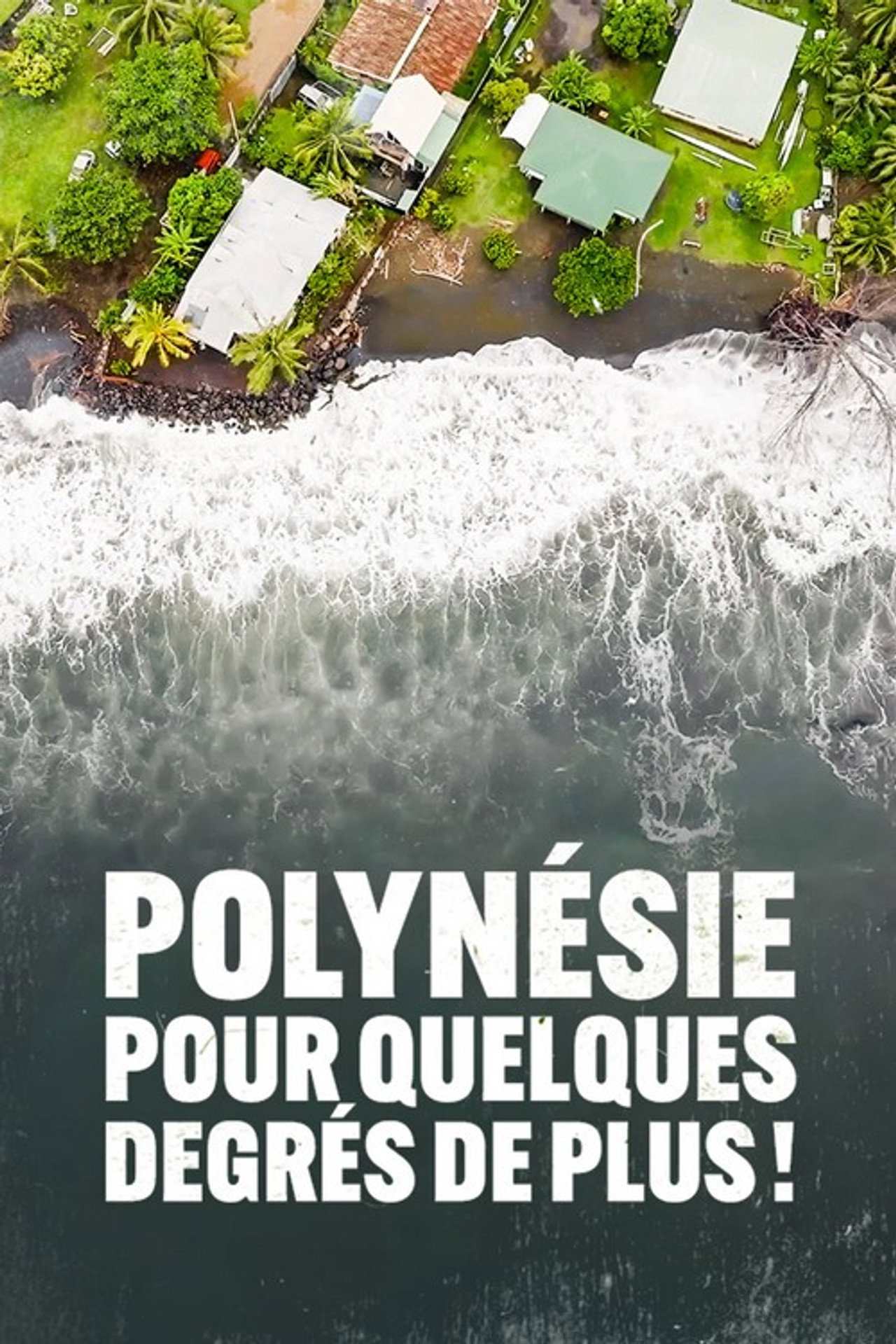 Polynesie pour quelques degrés de plus filmaffisch