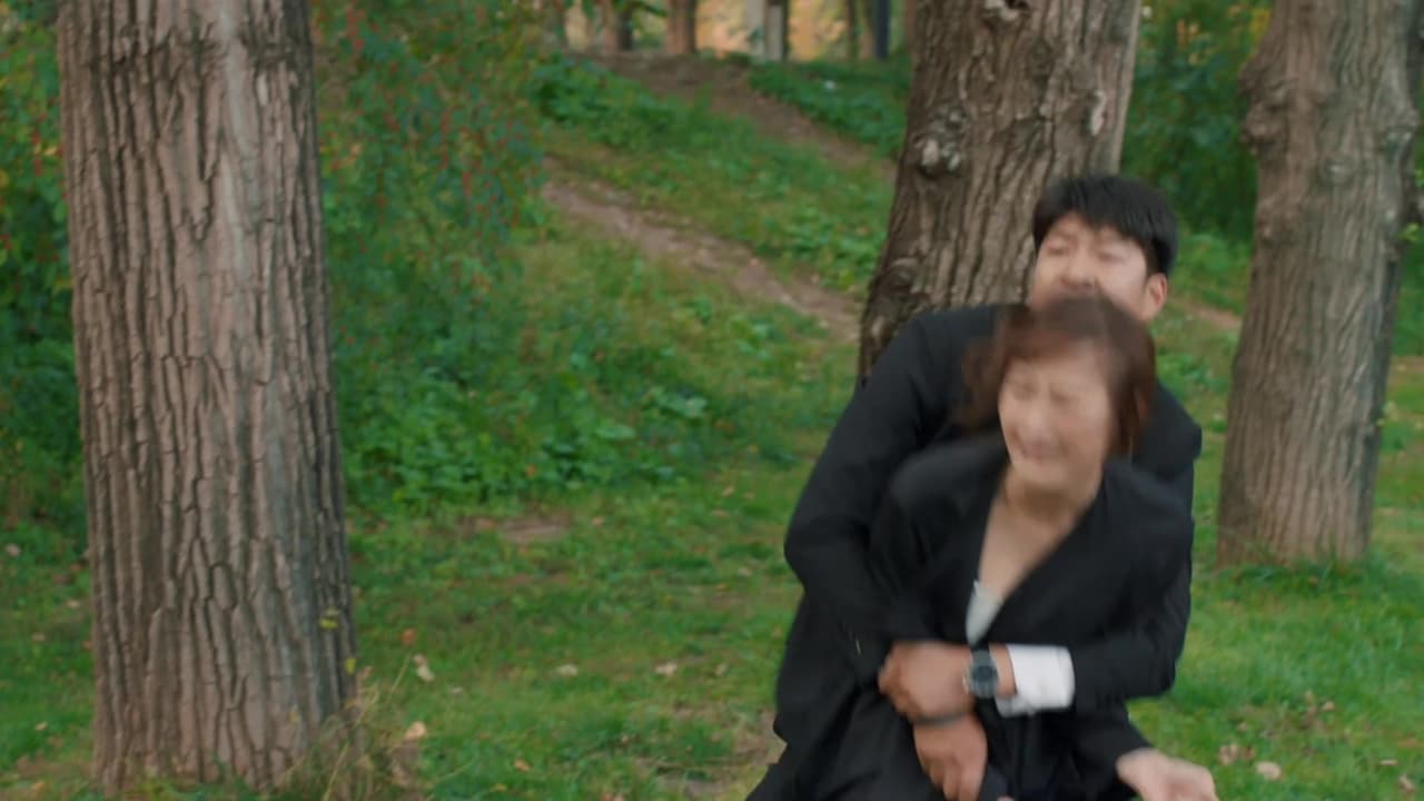 归去来 — Épisode 29