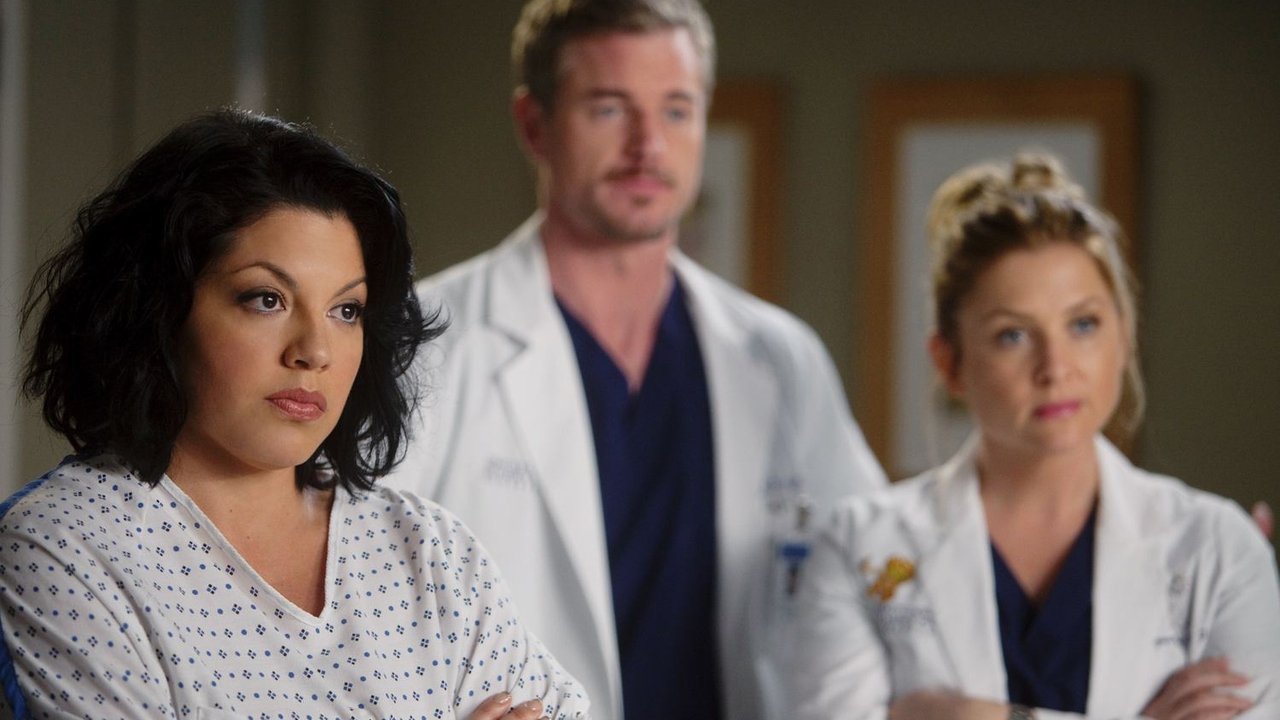 Grey's Anatomy - Season 7 Episode 13 : Don't Deceive Me (Please Don't Go)