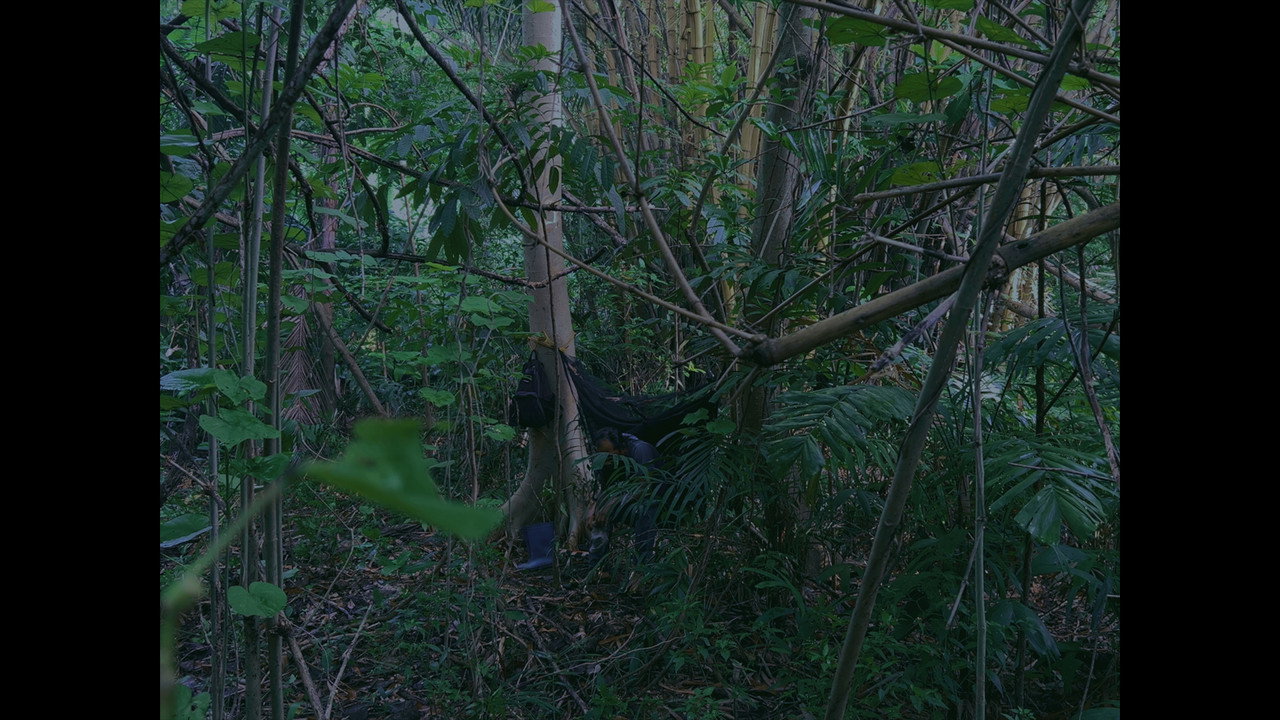 scenes 4